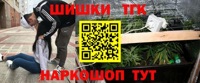 стаф Новокубанск