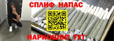 стаф Новокубанск